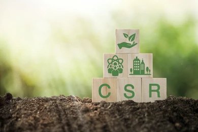 What Are the Best Practices for Engaging Employees in Meaningful CSR?